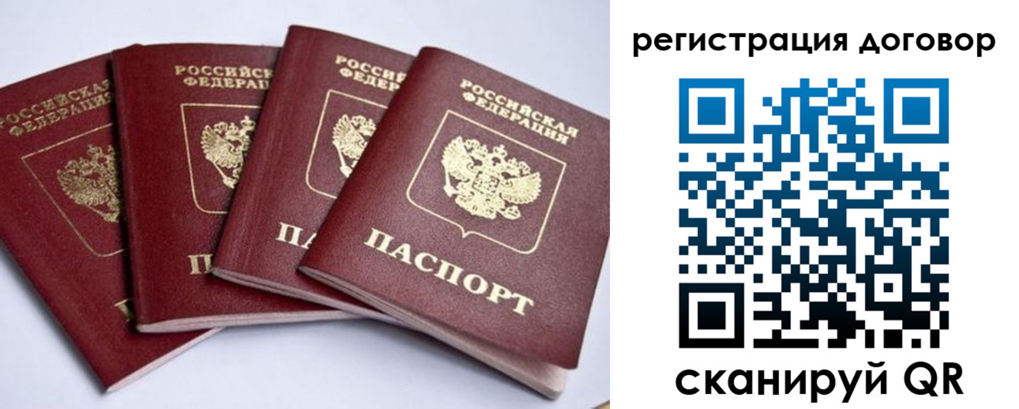 прописка поиск в Тайшете